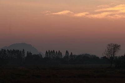 Silhouette trees on landscape against sky during sunset