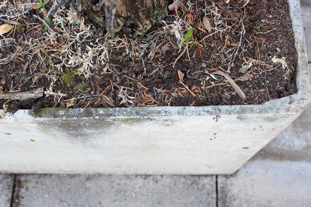 HIGH ANGLE VIEW OF RETAINING WALL IN PARK