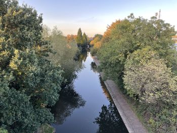 Scenic view of river amidst trees against sky