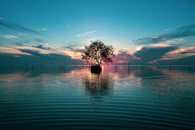 Silhouette swimming pool by lake against sky during sunset