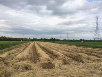 Scenic view of agricultural field against sky