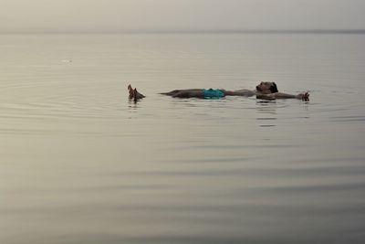 Mid adult woman swimming on sea during sunset