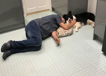 Dog lying on floor at home