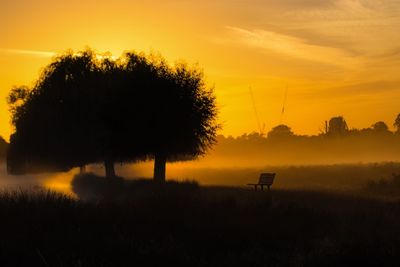 Silhouette trees on field at sunset