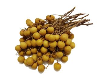 High angle view of berries against white background