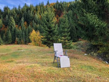 Chair for relaxation in the forest in autumn