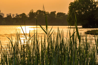 Scenic view of lake against sky during sunset