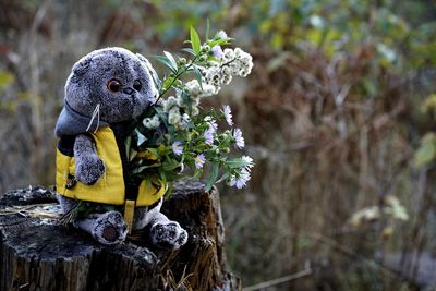 Close-up of bird on plant