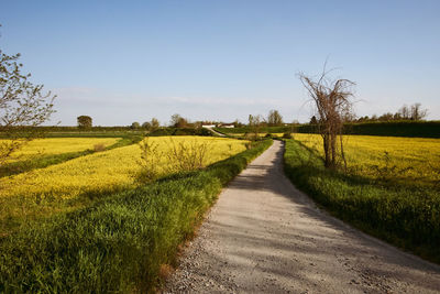 Road amidst field against clear sky