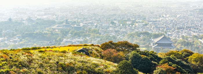 High angle view of trees and buildings in city