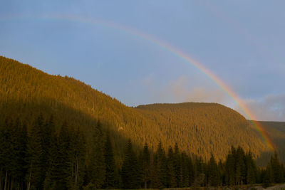 rainbow