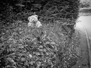 High angle view of toy on field