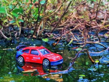 Red toy car against trees