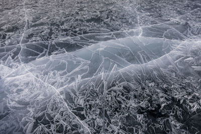 Full frame shot of frozen plants