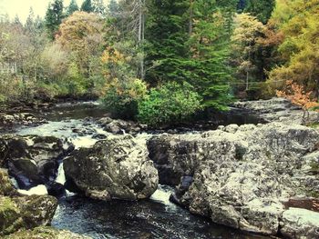 River flowing through rocks in forest