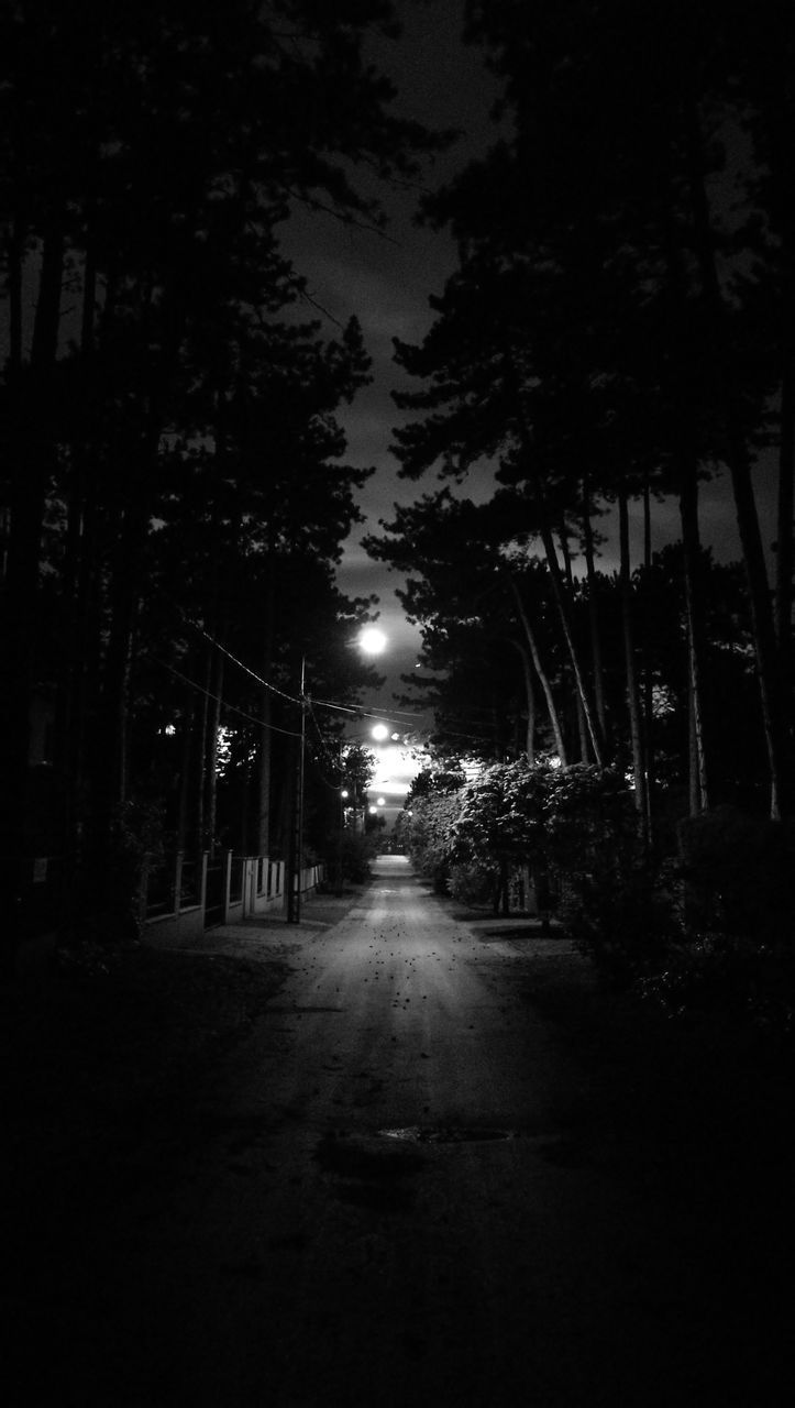 EMPTY ROAD AMIDST TREES IN CITY