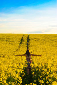 Scenic view of field against sky