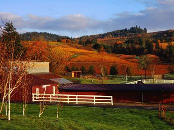 House amidst trees and buildings against sky during autumn