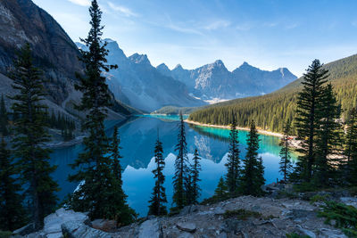 Moraine lake beautiful landscape in summer sunny day morning. canadian rockies. banff national park.