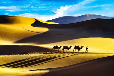 View of people riding horse in desert against sky