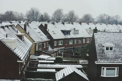 Houses and trees against sky during winter