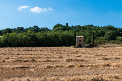 Abandoned farm house in field with trees