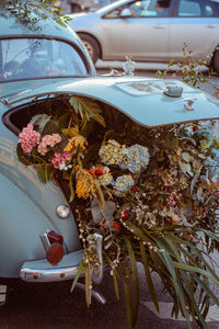 Close-up of flowering plant by car