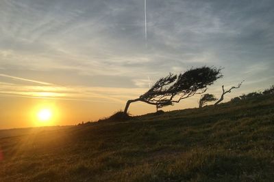 Scenic view of field against sky at sunset