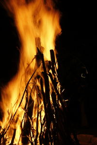 Close-up of fire in the dark
