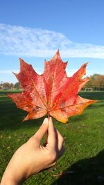 Close-up of hand holding maple leaf during autumn