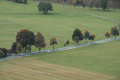 High angle view of trees and road on field