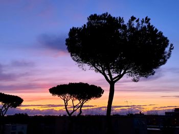 Silhouette tree against romantic sky at sunset