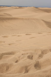 Scenic view of sand dune in desert against sky