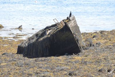 Abandoned boat on beach