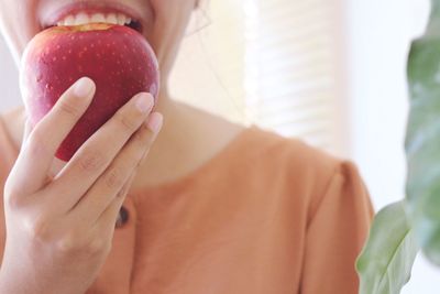 Midsection of woman holding apple