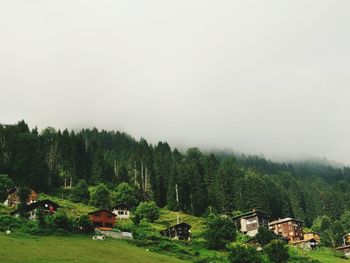 Scenic view of landscape against clear sky