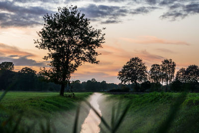 Trees on field against sky during sunset