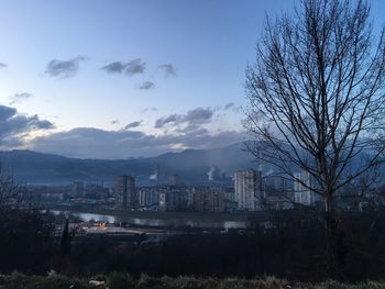 Trees and buildings against sky at dusk