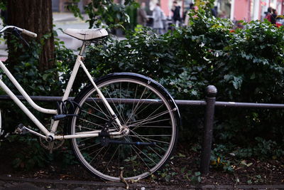 Abandoned bicycle against trees