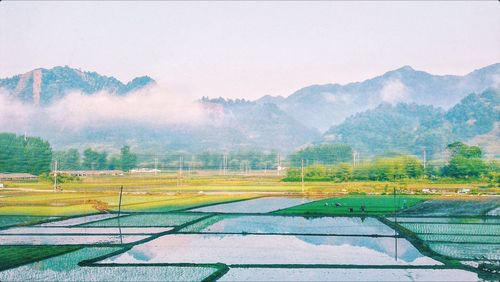 Scenic view of field by mountains against sky