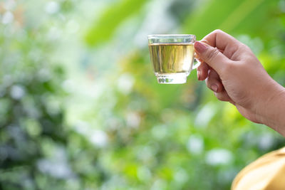 Midsection of person holding wine glass