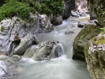 Scenic view of waterfall in forest