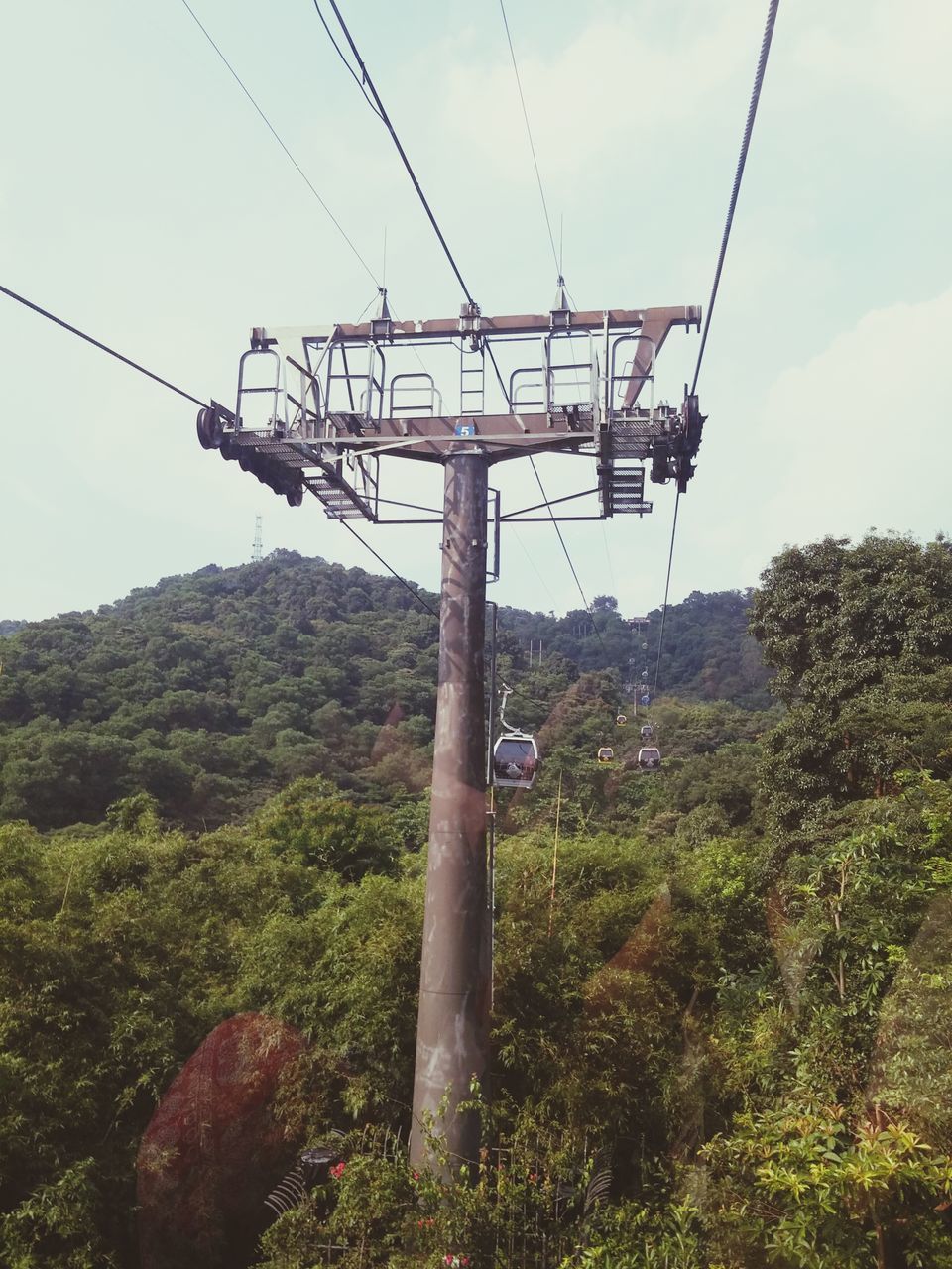 power line, electricity, electricity pylon, tree, fuel and power generation, power supply, technology, cable, sky, connection, low angle view, overhead cable car, green color, growth, power cable, nature, day, tranquility, transportation, mountain