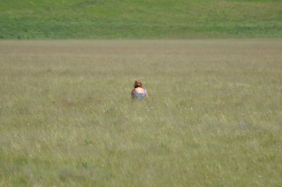 Rear view of woman amidst grass on field