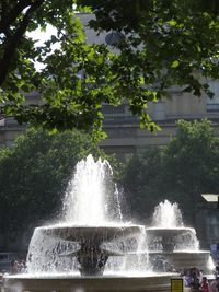 Fountain with trees in background