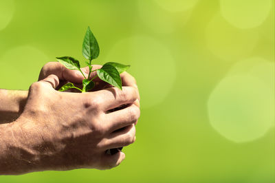 green