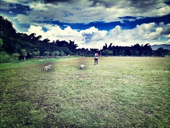 Scenic view of grassy field against cloudy sky