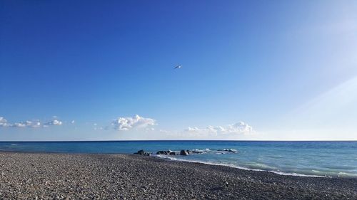 Seagull flying over sea against blue sky