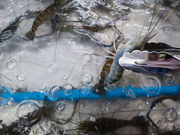 Close-up of water drops on glass