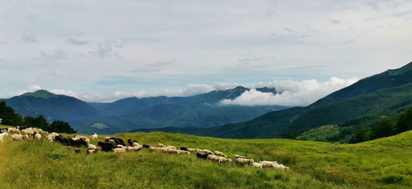 Scenic view of landscape and mountains against sky